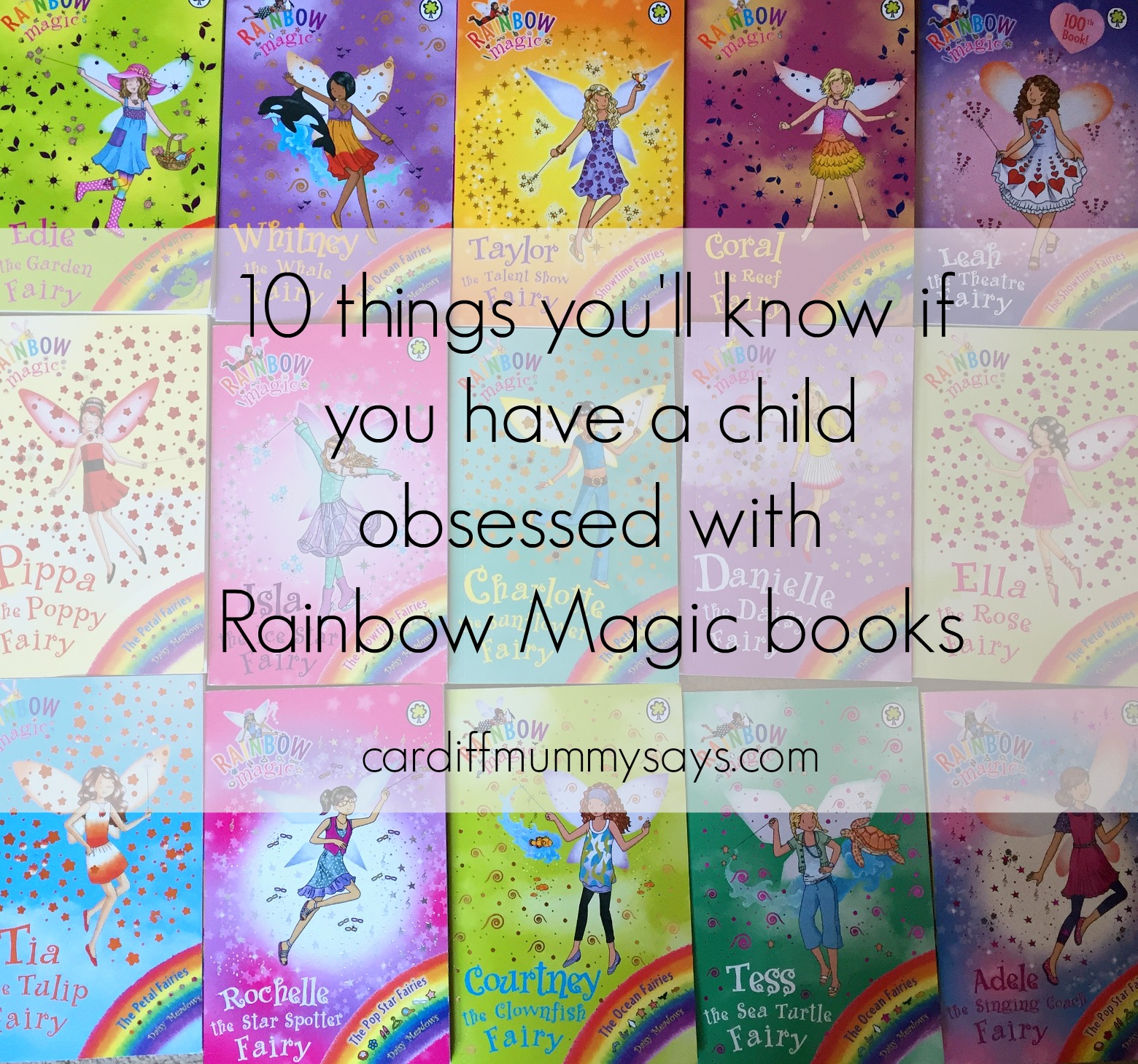 Rainbow Magic Books by Daisy Meadows