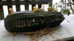 Halloween at Hendrewennol