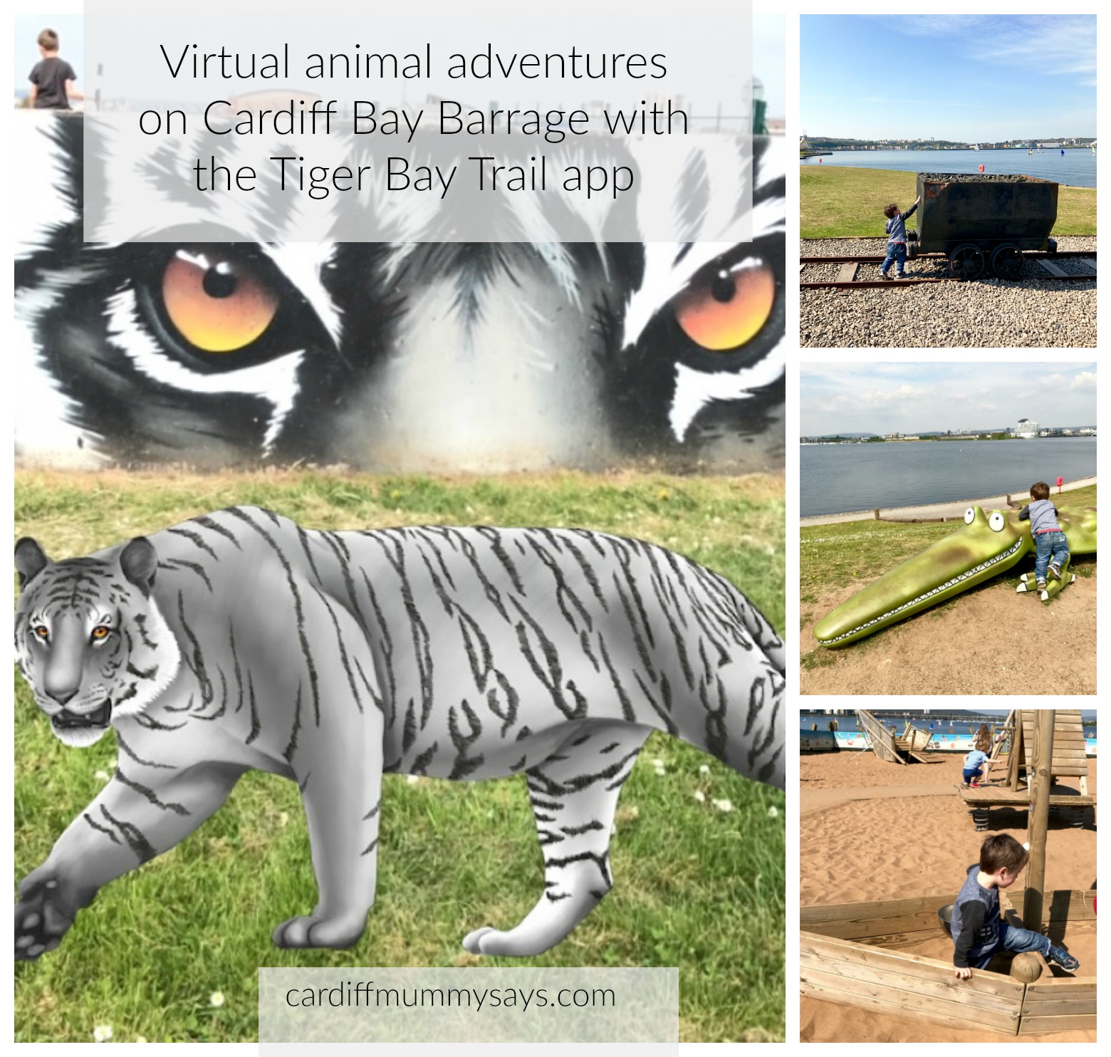 Tiger Bay Trails App