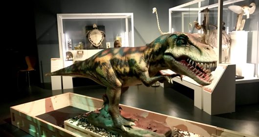 Dinosaur Babies National Museum Cardiff