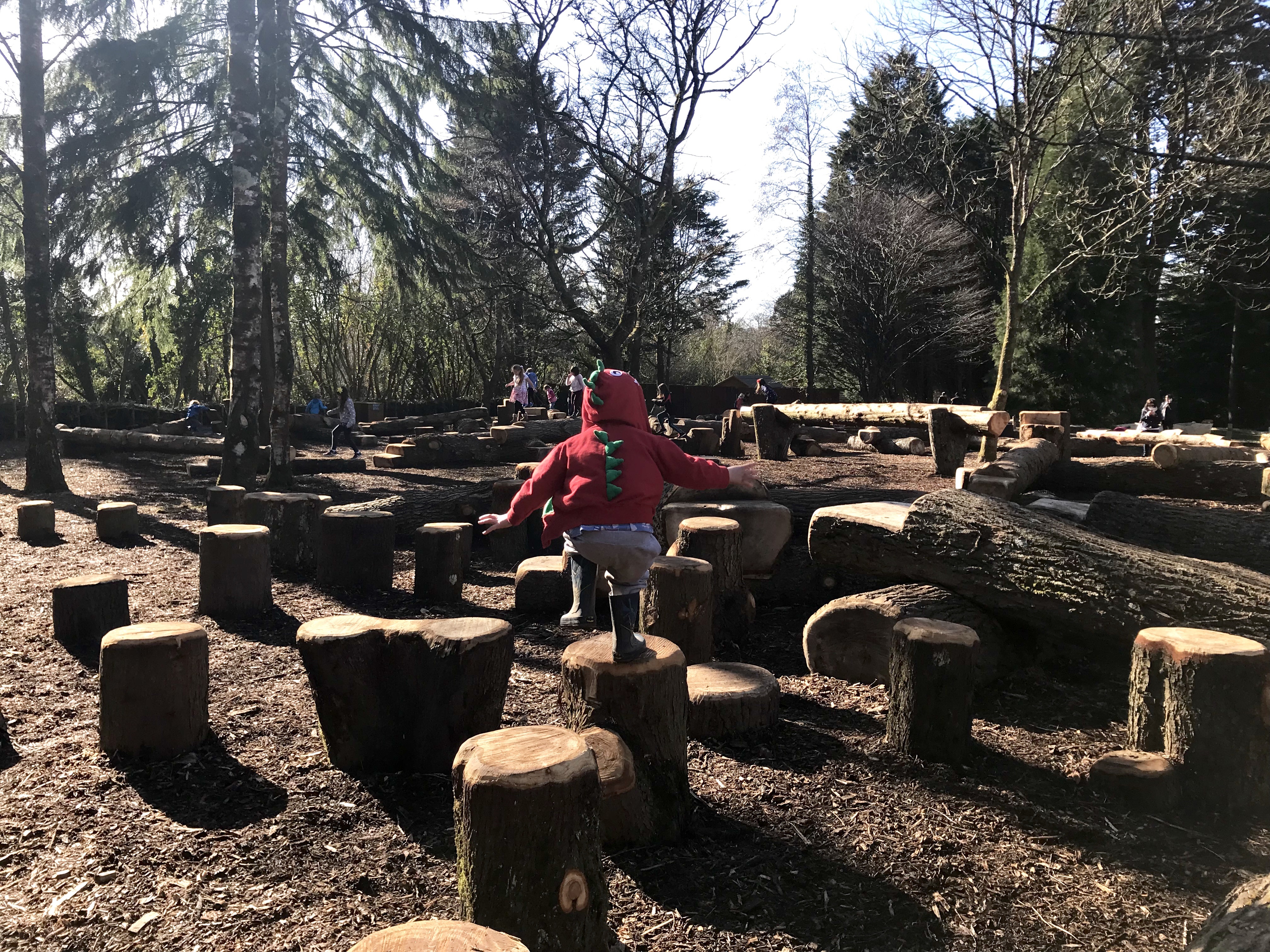 Wild play area Dyffryn Gardens
