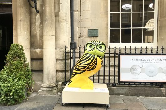 Owls of Bath