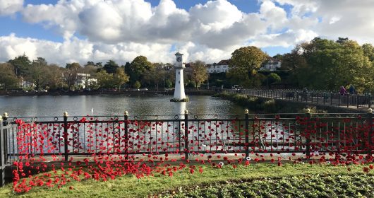 Knitted poppies Roath Lake Cardiff