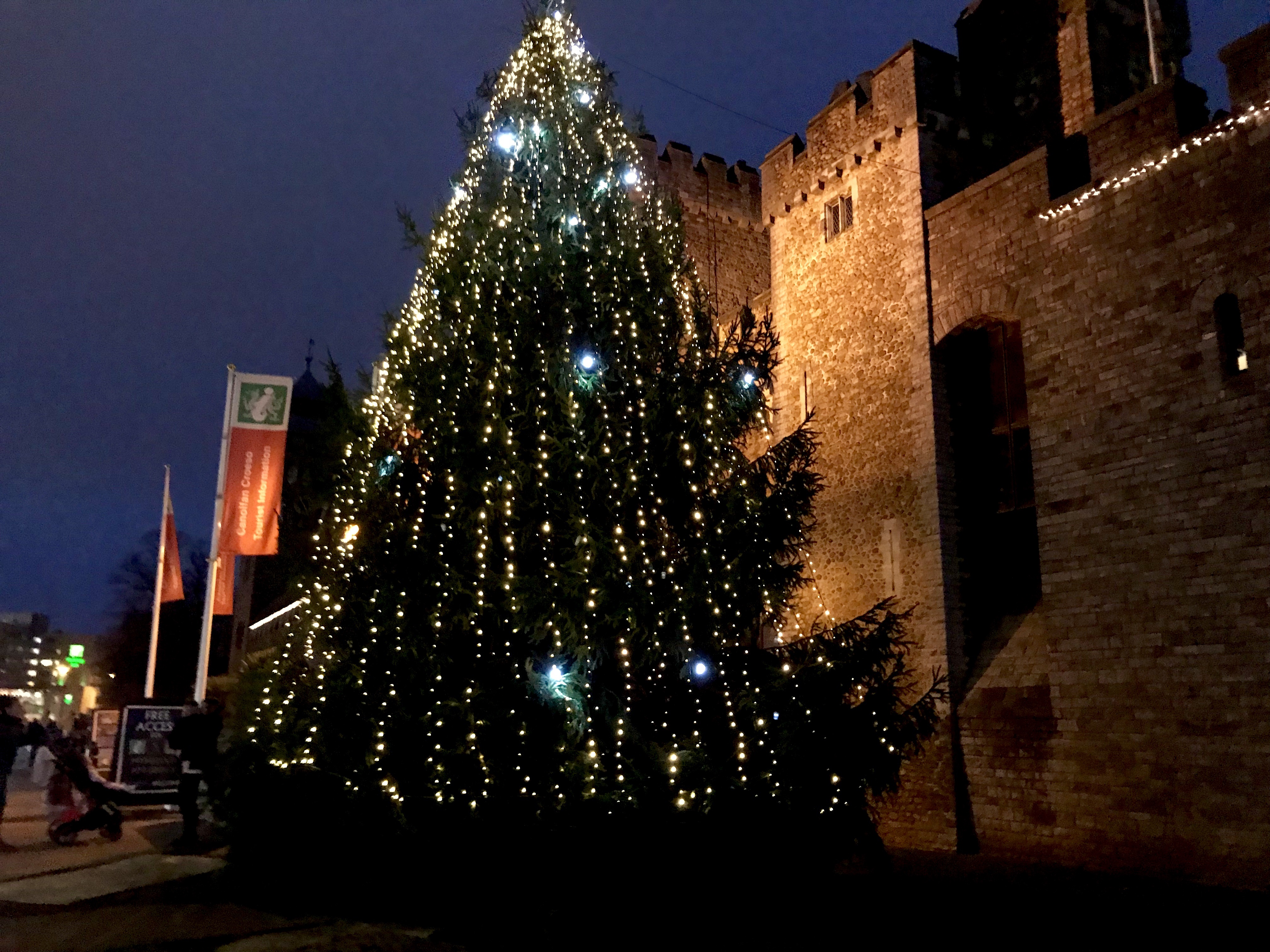 Cardiff Castle Christmas tree