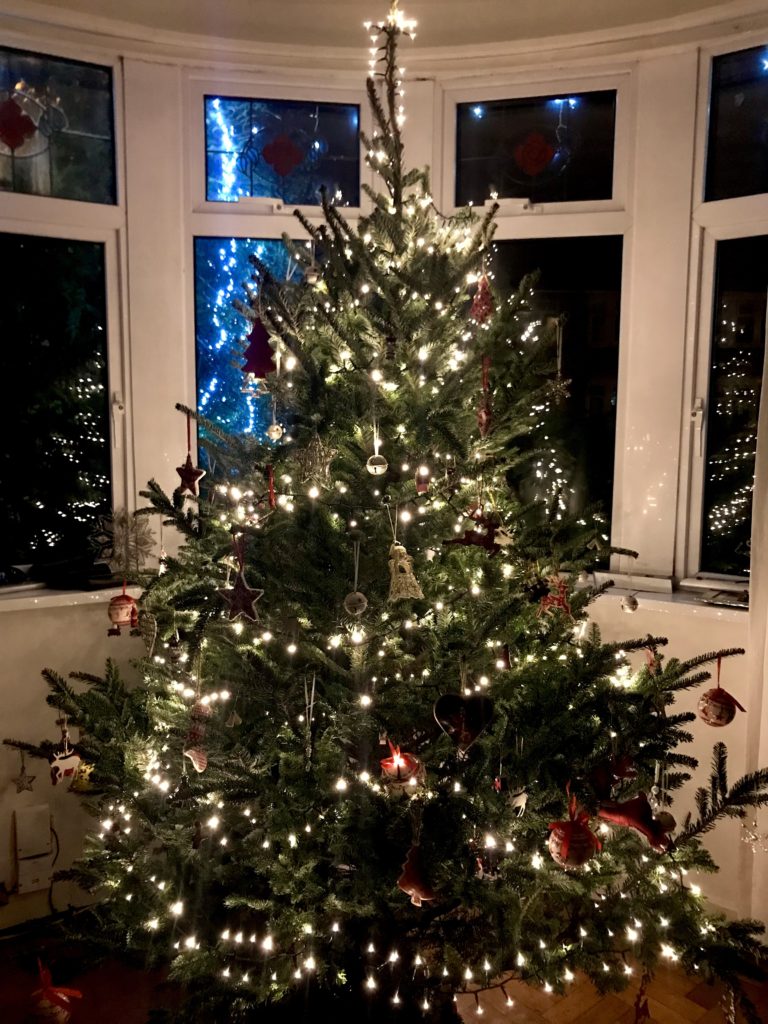 Pughs Garden Centre Trees Bios Pics