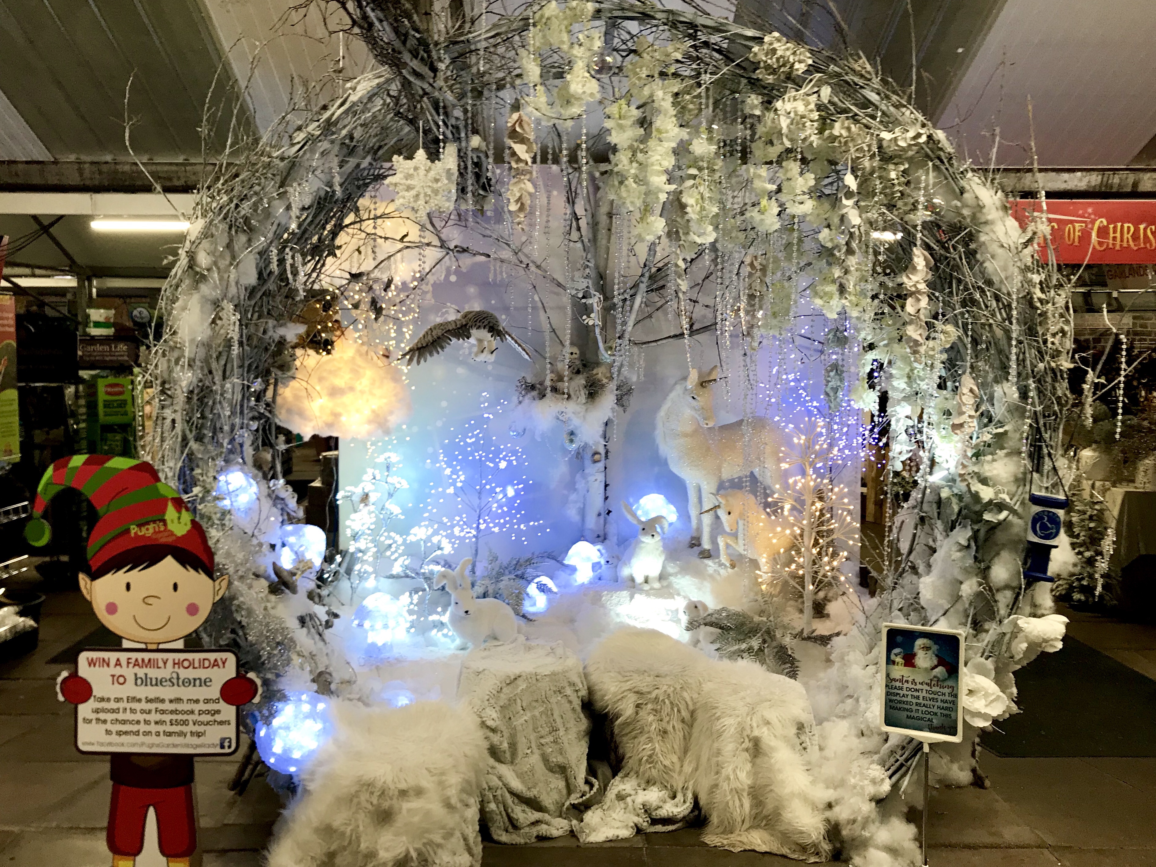 What to expect at Pugh’s Garden Village Radyr’s The Magic of Christmas