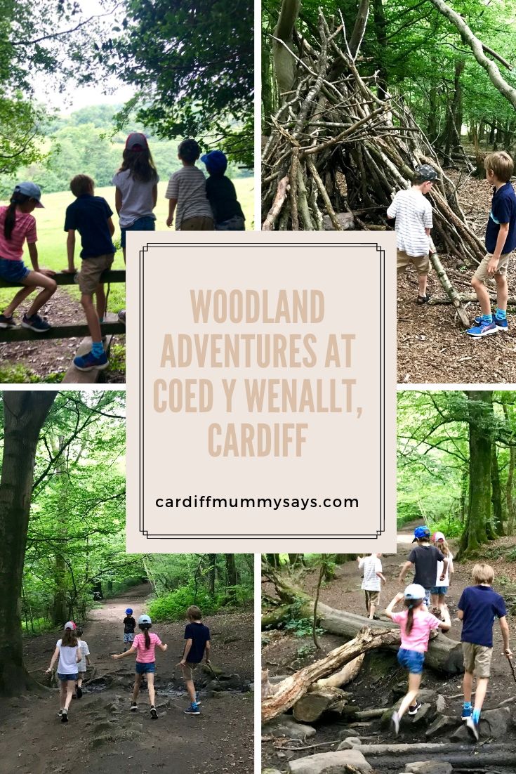 The Wenallt Cardiff 