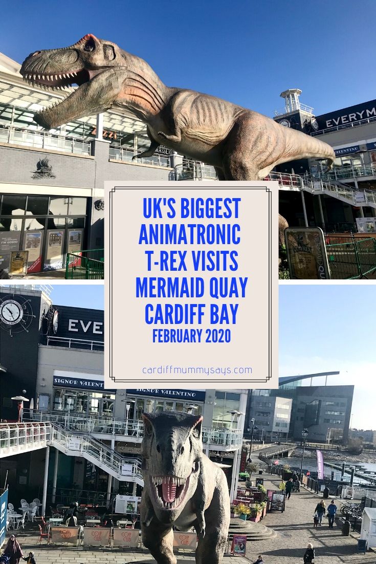 T-Rex Mermaid Quay