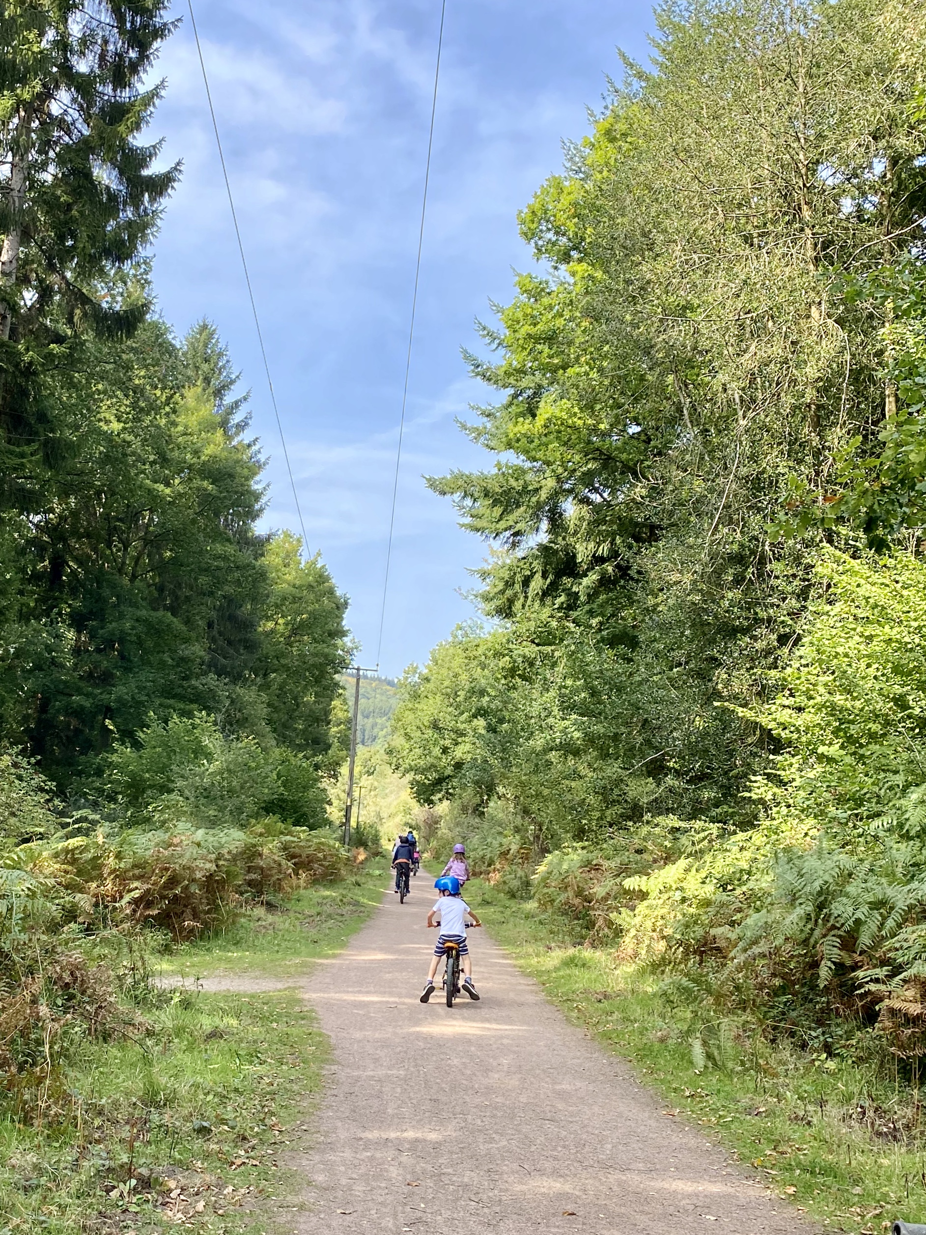 Beechenhurst family cycle trail